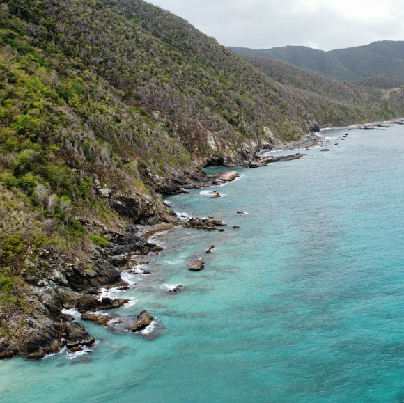 Meet your Posher, Doug - Picture 1 of 1